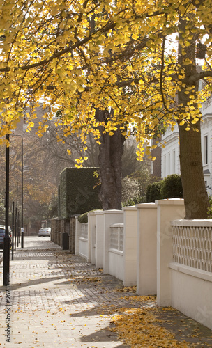 Canvas Print Late Autumn in London