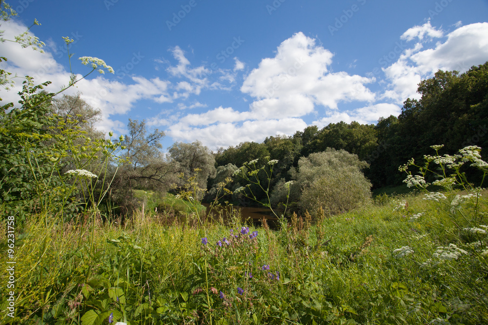 Meadow by the river Meadow by the river