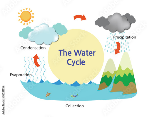 A picture describing the water cycle
