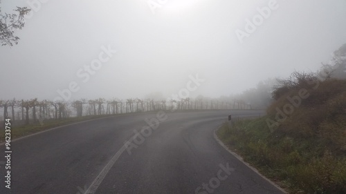 Nebbia autunnale