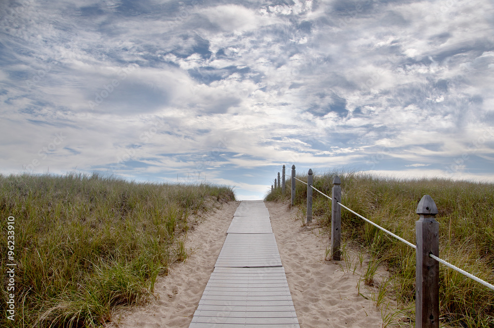 wooden trail with handrails leading to the ocean with grass on opposite sides