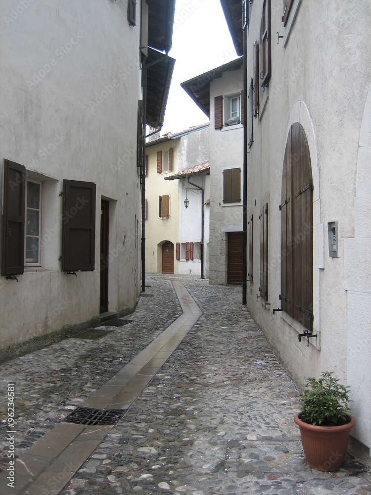 Street in Venzone 
