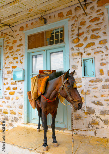 At Hydra island in Greece