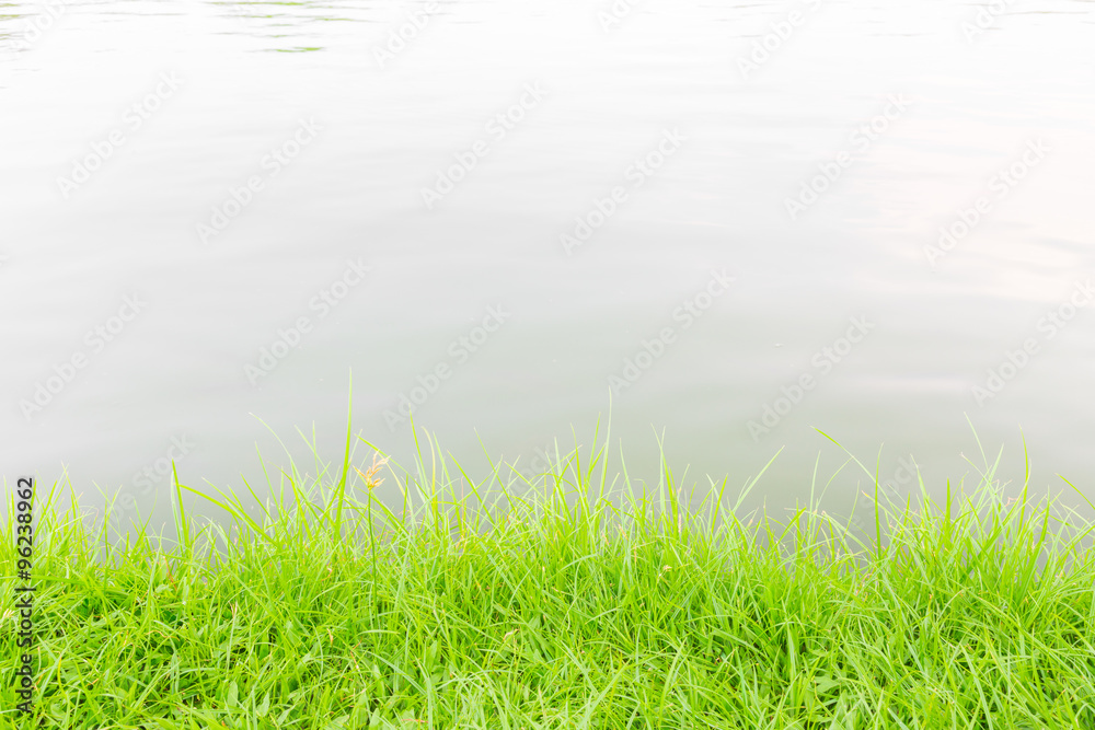 Obraz premium Green grass at riverside