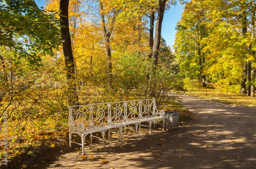Autumn landscape with bright colorful yellow leaves in Saint-Petersburg region, Russia.
Autumn landscape with bright colorful yellow leaves in Saint-Petersburg region, Russia.