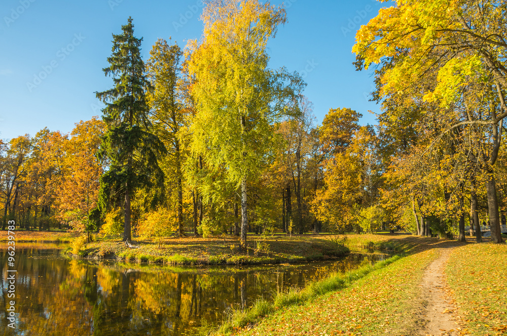 Autumn water landscape with bright colorful yellow leaves in Saint-Petersburg region, Russia.