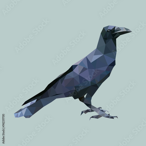 polygonal crow, polygon triangle bird, isolated animal vector