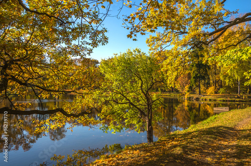 Autumn water landscape with bright colorful yellow leaves in Saint-Petersburg region  Russia.