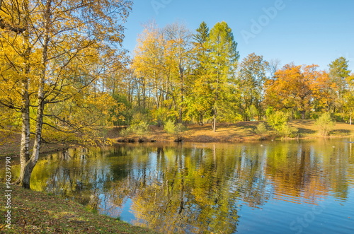 Autumn water landscape with bright colorful yellow leaves in Saint-Petersburg region, Russia. © vserg48