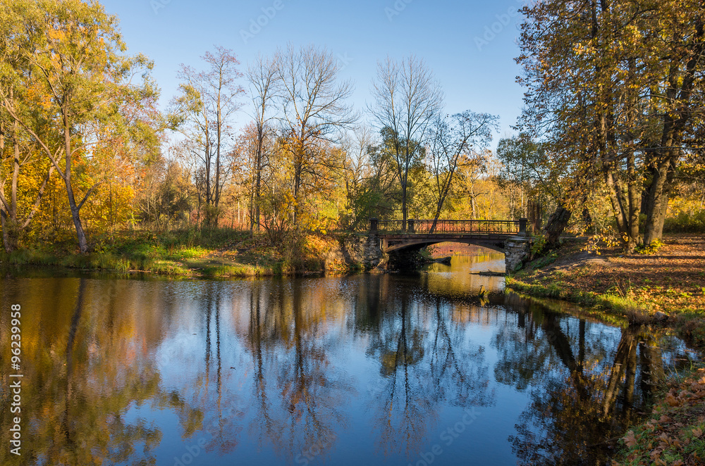 Obraz premium Autumn water landscape with bright colorful yellow leaves in Saint-Petersburg region, Russia.