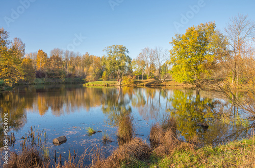 Autumn water landscape with bright colorful yellow leaves in Saint-Petersburg region, Russia.