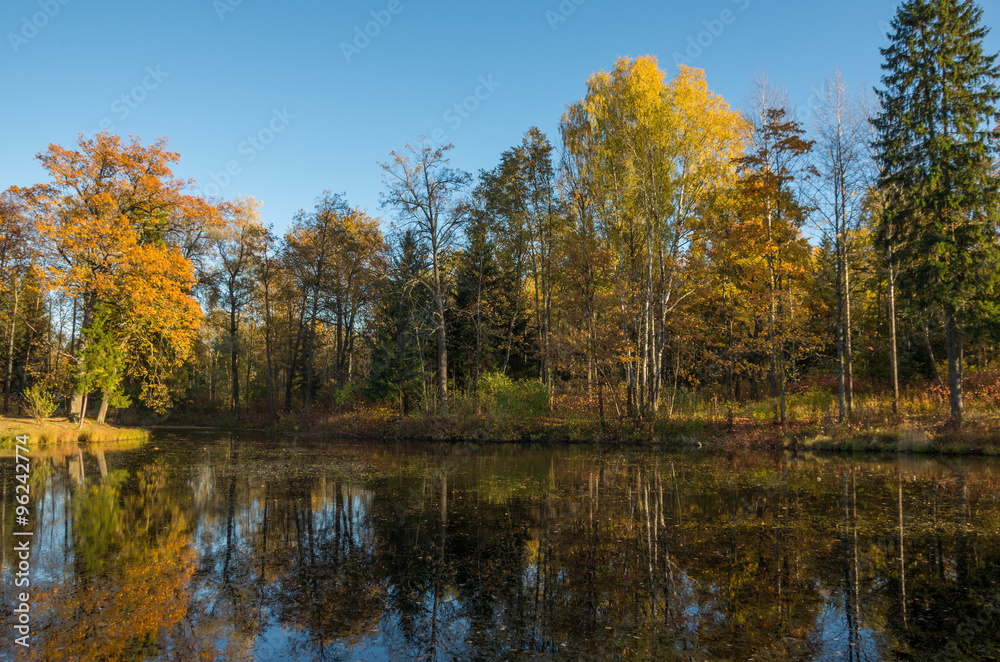 Autumn water landscape with bright colorful yellow leaves in Saint-Petersburg region, Russia.
