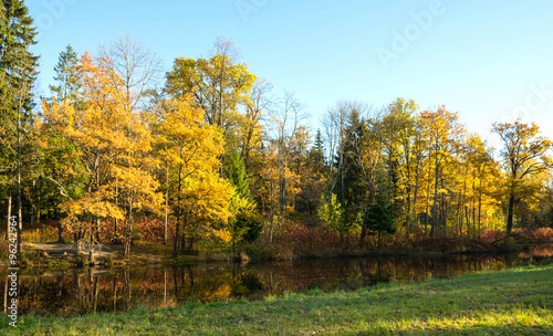 Autumn water landscape with bright colorful yellow leaves in Saint-Petersburg region, Russia. 