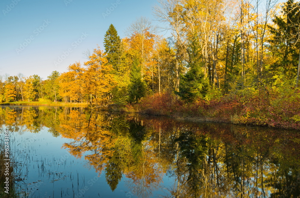 Autumn water landscape with bright colorful yellow leaves in Saint-Petersburg region, Russia.

