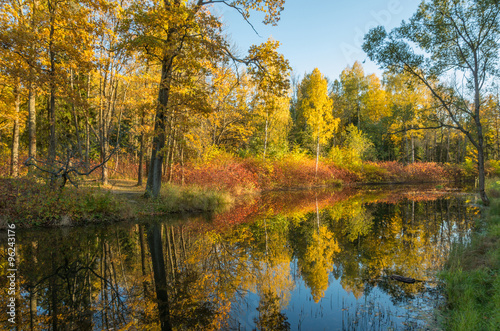 Autumn water landscape with bright colorful yellow leaves in Saint-Petersburg region, Russia. 