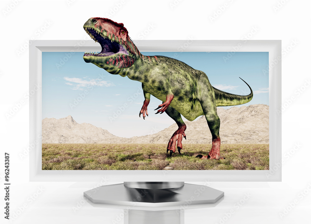 Fototapeta premium 3D Fernseher