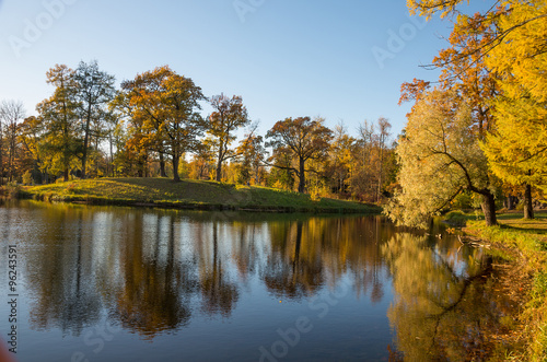 Autumn water landscape with bright colorful yellow leaves in Saint-Petersburg region  Russia.  