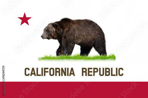 California state national flag with real bear