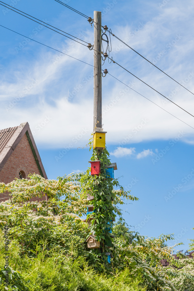 Obraz premium Bunte Vogelhäuser an Strommast