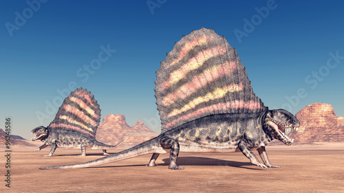 Pelycosaur Dimetrodon photo