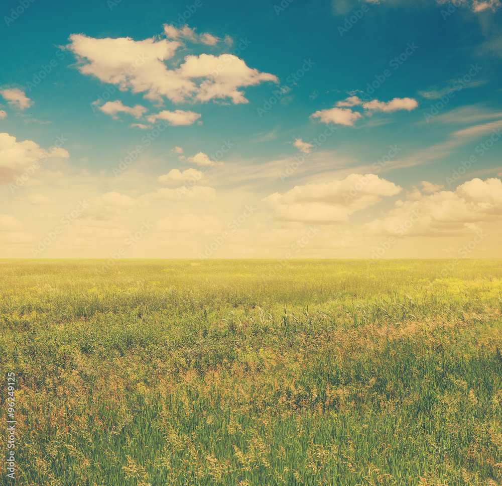 sky and green fields, retro filtered, instagram style