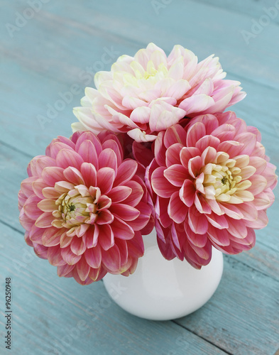 Pink dahlias in white jug on old blue wooden background