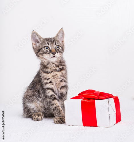 Cute kitten with present box  © Roman Pyshchyk