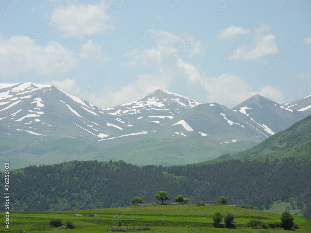 Snow-covered peaks and green plain