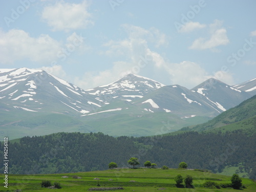 Snow-covered peaks and green plain
