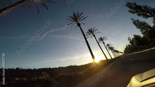 This is a video taken from a car driving past a line of palm trees at sunset in southern California San Diego