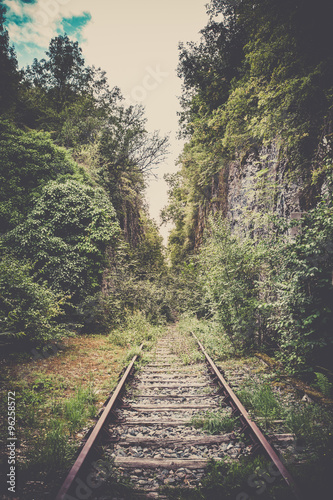 stara-tajemnicza-linia-kolejowa-w-lesie