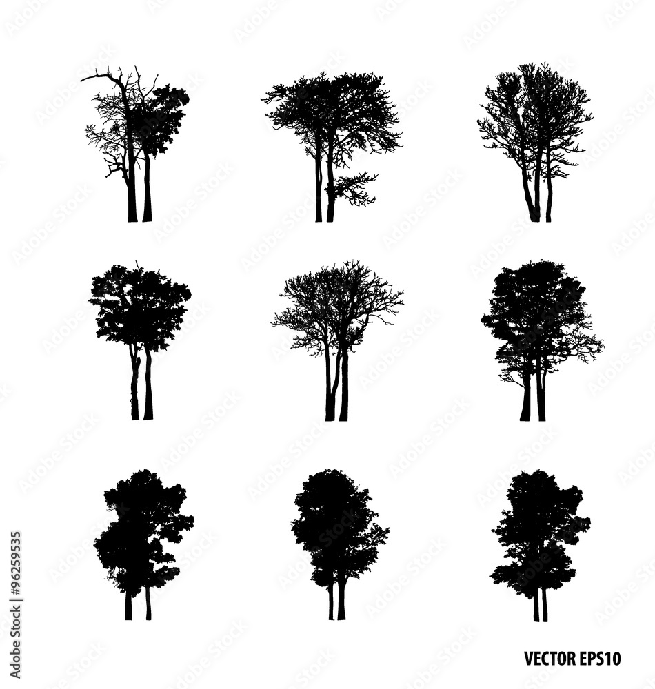 Fototapeta premium Set of tree silhouettes. Vector illustration.