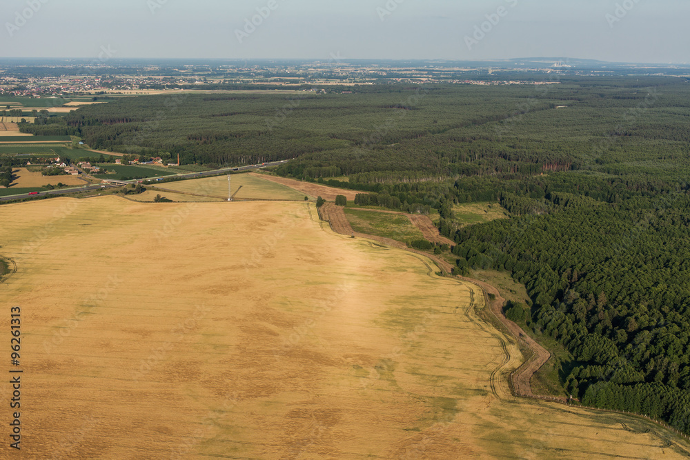 aerial view of forest and harvest fields in summer