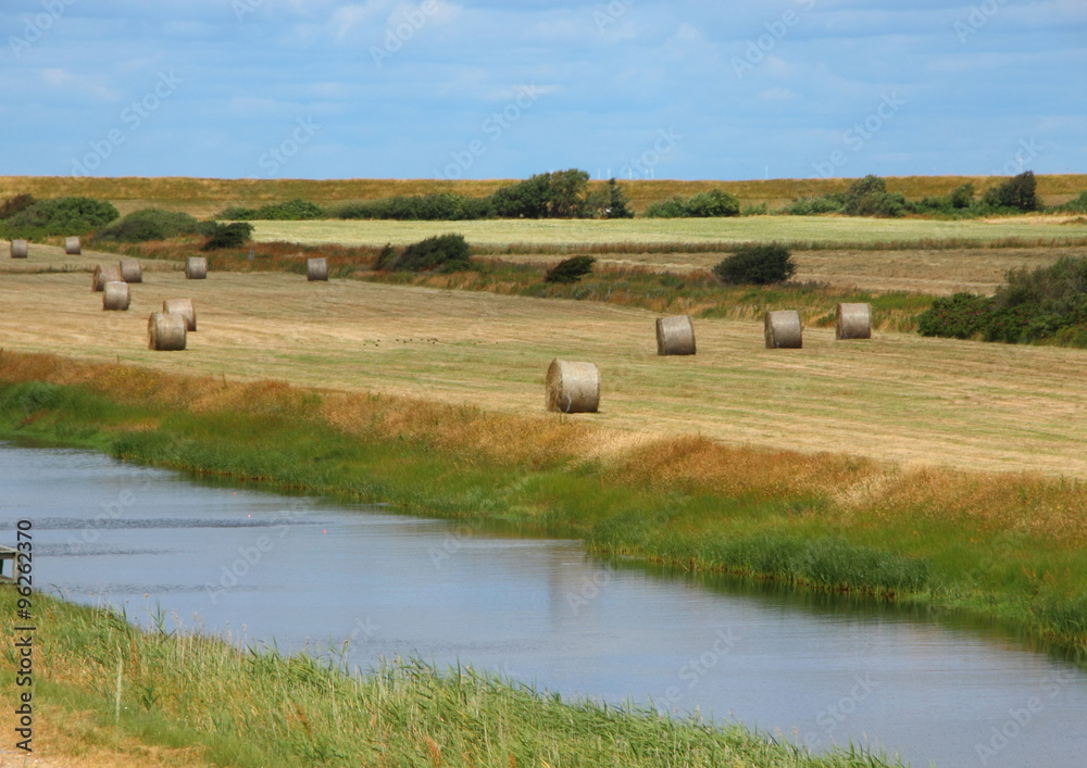 Round Straw Bales in Landscape Field with River Round Straw Bales in Landscape Field with River