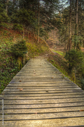 Small walkway bridge in the woods