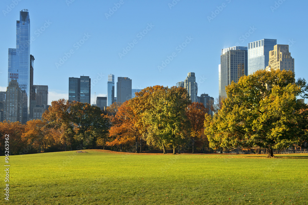 Autumn in Central Park, New York - obrazy, fototapety, plakaty 