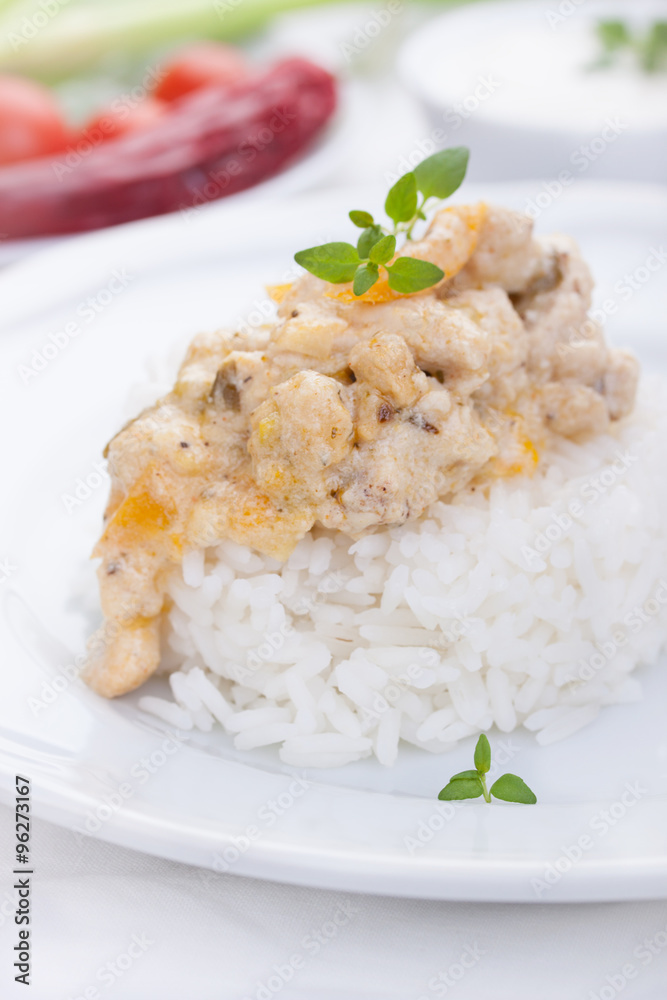 Stewed chicken in a cream with paprika and italian herbs with rice on a white plate. Selective focus