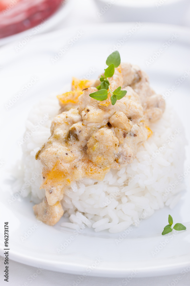 Stewed chicken in a cream with paprika and italian herbs with rice on a white plate Stewed chicken in a cream with paprika and italian herbs with rice on a white plate