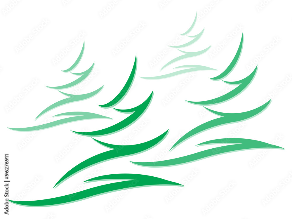 Obraz premium Symbols of the spruces on a white background