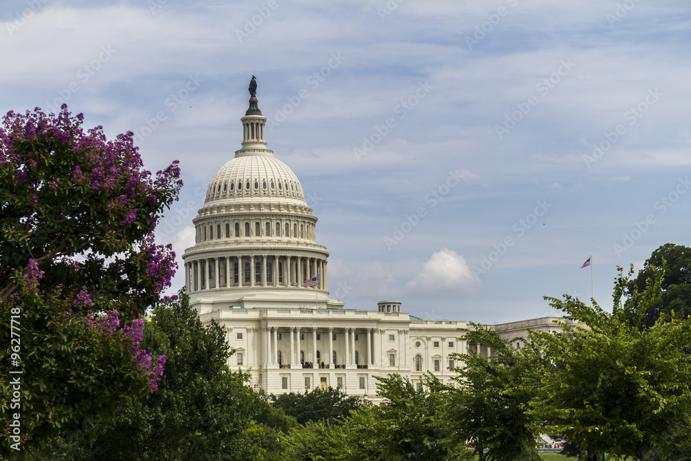 Naklejka premium The Capitol of the US in Washington