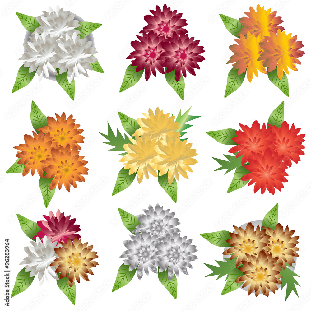 Plants and flower top view for interior , vector illustration Plants and flower top view for interior , vector illustration