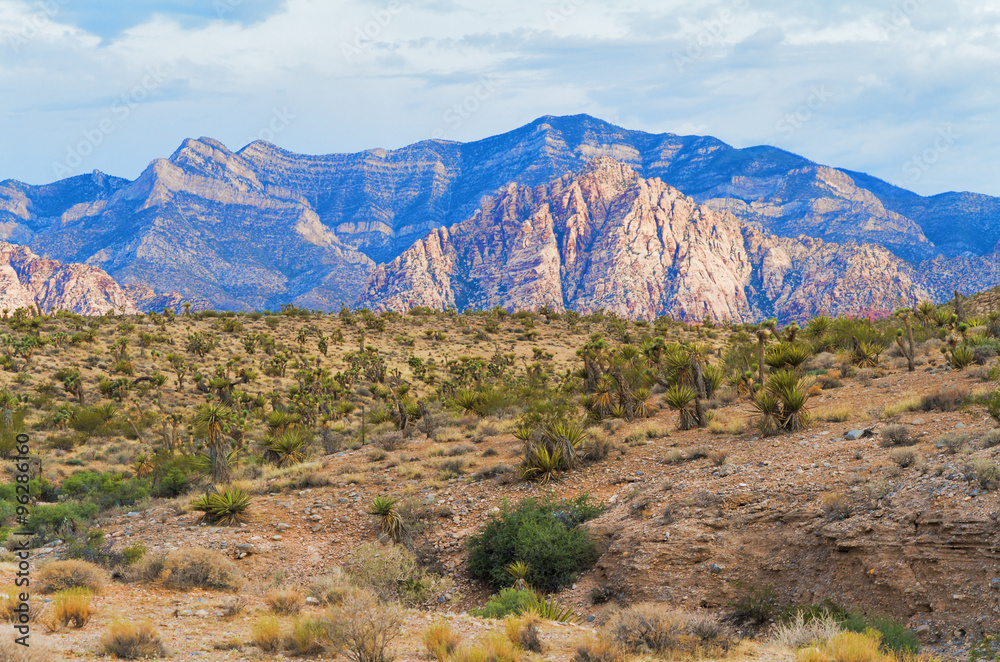 Desert Landscape at Red Rock Canyon National Conservation Area near Las Vegas, Nevada, USA