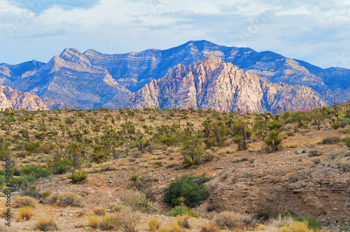 Desert Landscape at Red Rock Canyon National Conservation Area near Las Vegas, Nevada, USA