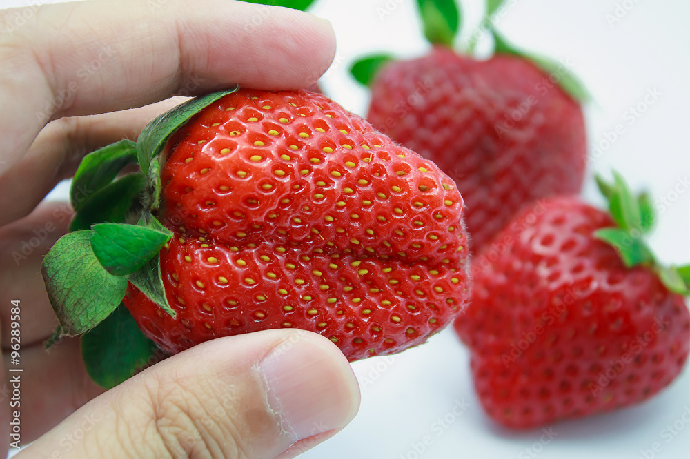 Obraz premium hand holding fresh strawberries