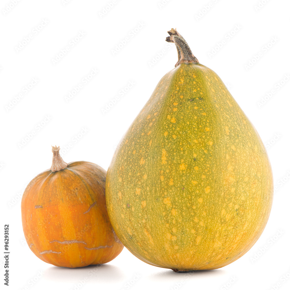 Pumpkins Pumpkins