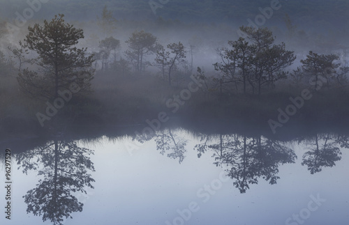 Morning with fog in the bog