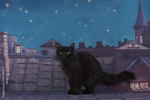 homeless cat walking on the roof at night