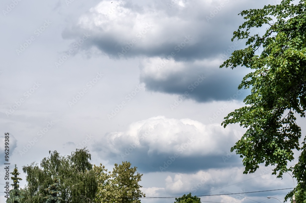 Obraz premium under the tree shade