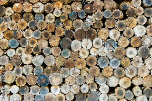 Stack of wood logs  wooden abstract background