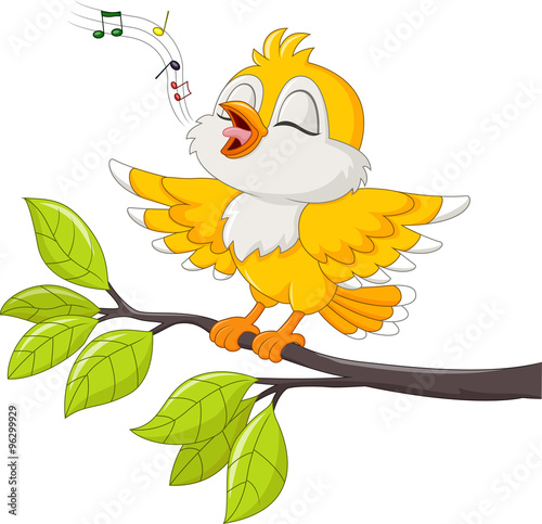 Cute yellow bird singing isolated on white background